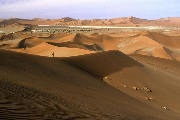 Considéré comme le plus vieux du monde, le désert du Namib s'étend sur 1500 kilomètres le long de la côte ouest de la Namibie. Il est bordé par l'Atlantique qui lui apporte le courant froid du Benguéla venu de l'Antarctique, ses tempêtes et ses brouillards. La région de Sossusvlei en son centre est le domaine d'impressionnantes dunes de sable orangé dont certaines ont près de 300 mètres de haut. L'axe de pénétration dans le parc du Namib est constitué par la rivière Tsauchab, qui ne coule qu'exceptionnellement. Ses eaux, arrêtées par le sable, forment des lacs temporaires qui s'assèchent et deviennent des étendues de sel d'un blanc éclatant appelés "pans". Les arbres morts qui se dressent au milieu de ces pans témoignent de la progression de la désertification. Le parc du Namib est strictement règlementé, on ne peut y pénétrer que du lever au coucher du soleil et l'accès se fait par une route de 60 km le long de la vallée de la Tsauchab permettant d'atteindre la zone des plus hautes dunes et des pans de Sossusvlei et Deadvlei.