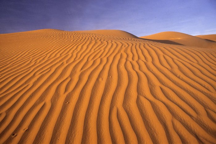 Le désert sud mauritanien appartient au Sahara occidental. Il comprend à la fois des zones d’erg constituées par une vaste étendue de dunes et de reg, composées de cailloux et de roche. On trouve ainsi dans les régions du Trarza et du Tagant, entre Moudjéria et Tidjikja une alternance de plateaux rocheux et zones de sable.