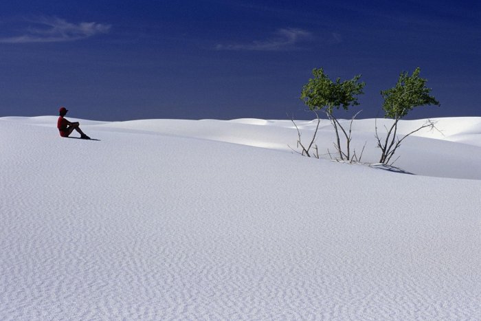White Sands est plus grand massif de dunes de gypse du monde. Il se trouve dans le prolongement du désert mexicain de Chihuahua. Il étire ses 800 km2 dans l'état du Nouveau Mexique aux Etats Unis. Cette étendue éblouissante de sable blanc est ponctuée de quelques yuccas qui plongent leurs racines profondément à la recherche des rares traces d'humidité. Dans cette cuvette bordée des deux chaines de montagnes de San Andreas et de Sacramento, la chaleur est accrue par une réverbération intense. Le White Sands National Park permet l'accès des visiteurs sauf lorsque la base militaire voisine, White Sands Missile Range, effectue des lancements de missiles. Toutefois les touristes ne s'aventurent pas très loin à l'intérieur des dunes, et il est facile de se retrouver seul au milieu de ce paysage irréel pareil à un champ de neige.