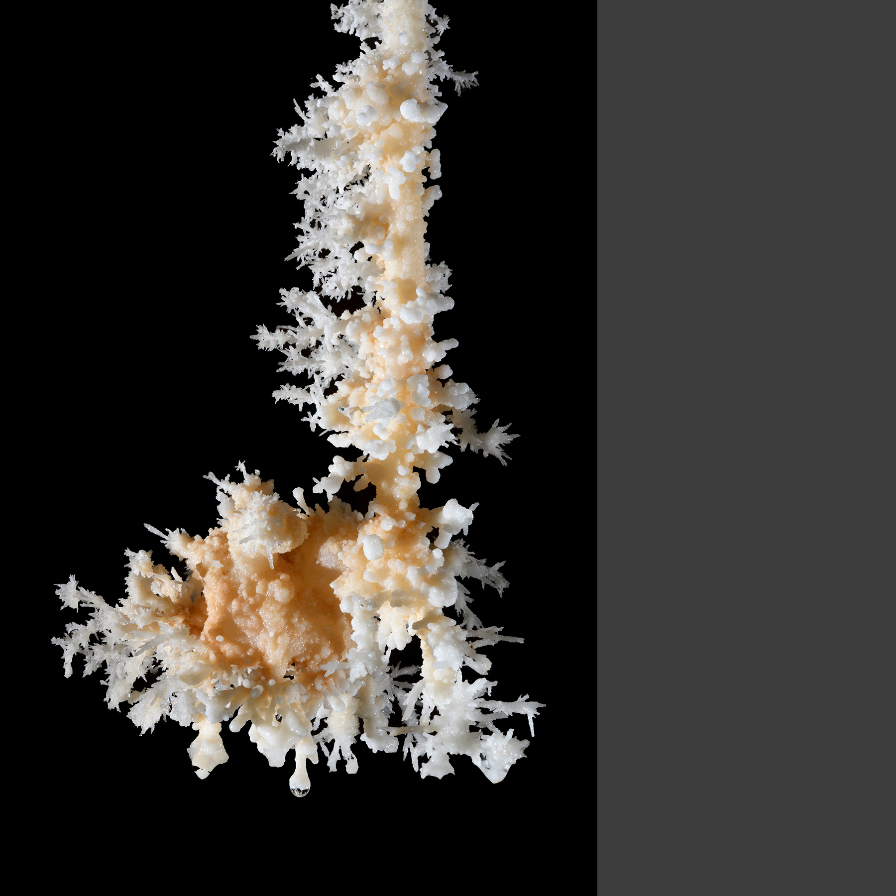 Gouffre de Cabrespine (Aude, France)