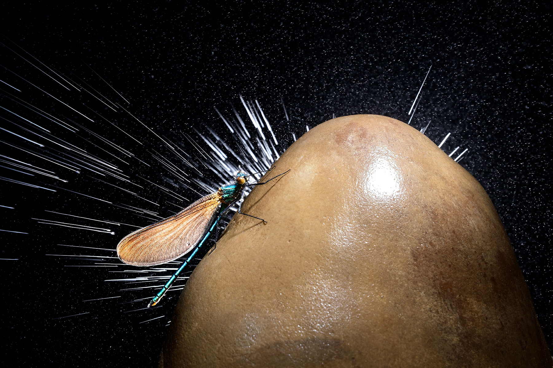 Beaume de Gonvillars (Haute Saône, France)