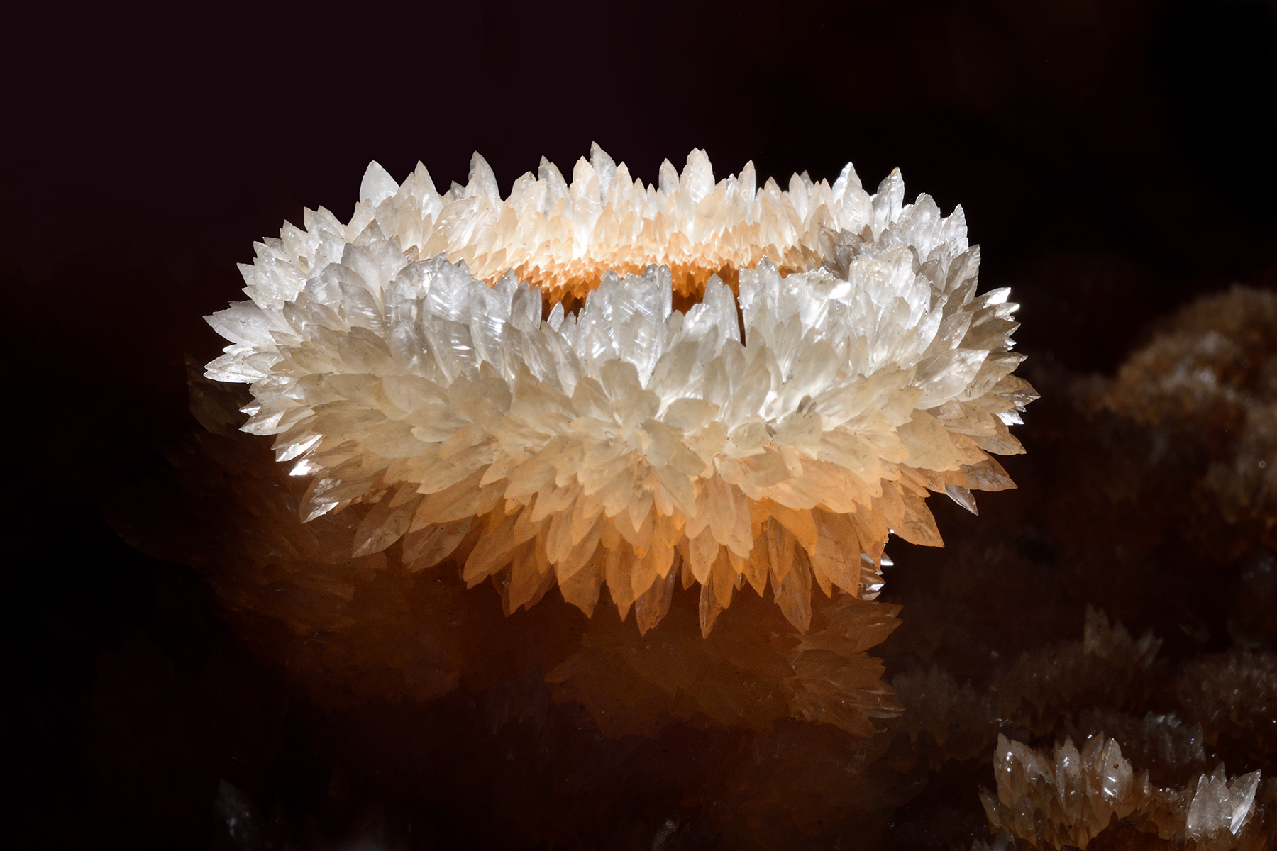 Grotte de Trabuc (Gard, France)