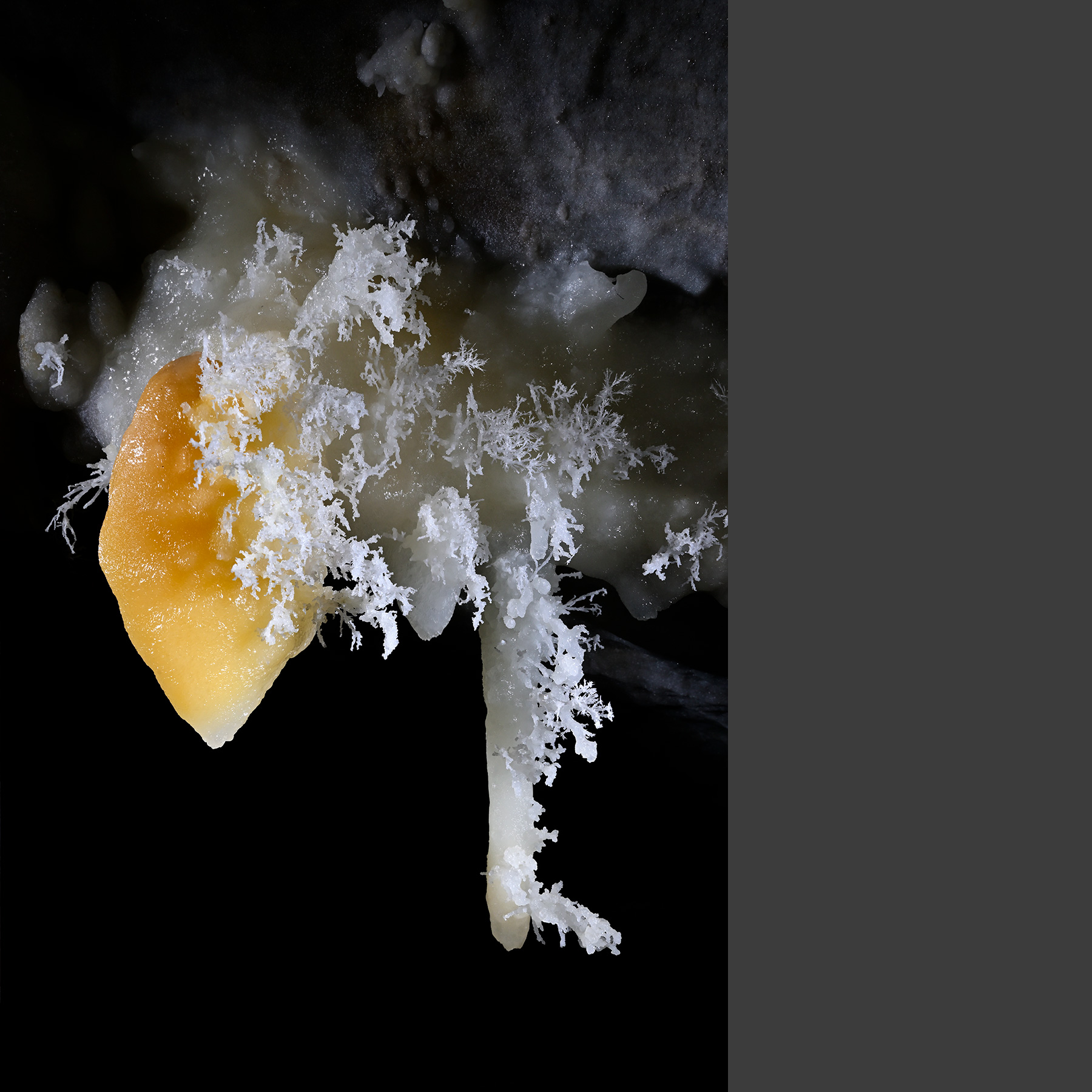 Grotte de Roquebleue (Hérault, France)