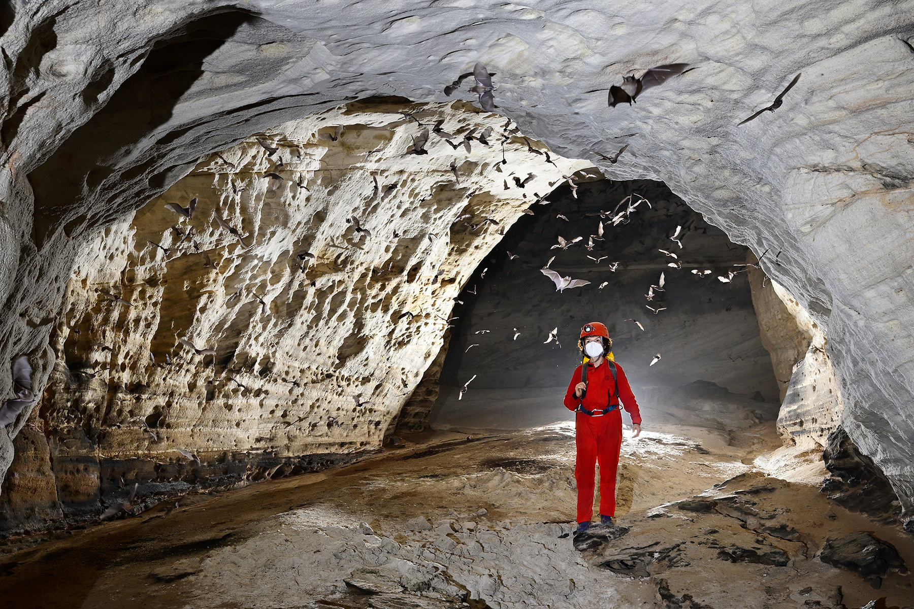 Caverna do Lucas (Pará, Brésil)