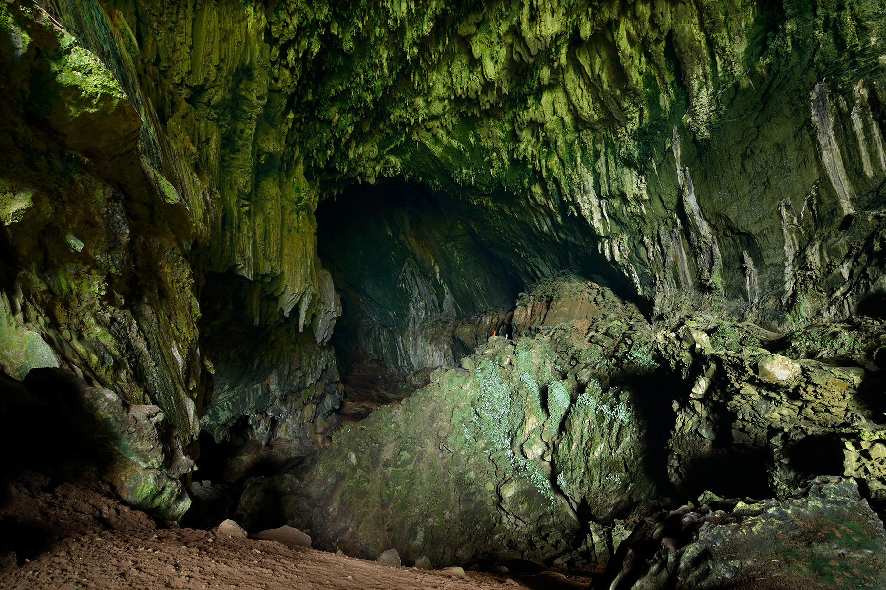Deer Cave (Gunung Mulu National Park, Bornéo, Malaisie) - Vue du porche d'entrée vers l'intérieur de la grotte.