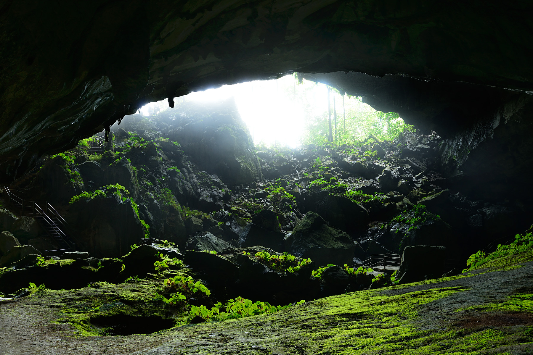Clearwater Cave (Gunung Mulu National Park, Bornéo, Malaisie) - Porche d'entrée vu de l'intérieur de la grotte.