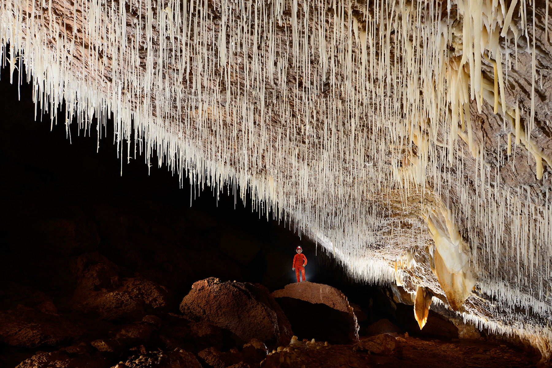 Cueva Sorbeto (Province d'Arecibo, Porto Rico)- Galerie avec plafond couvert de fistuleuses