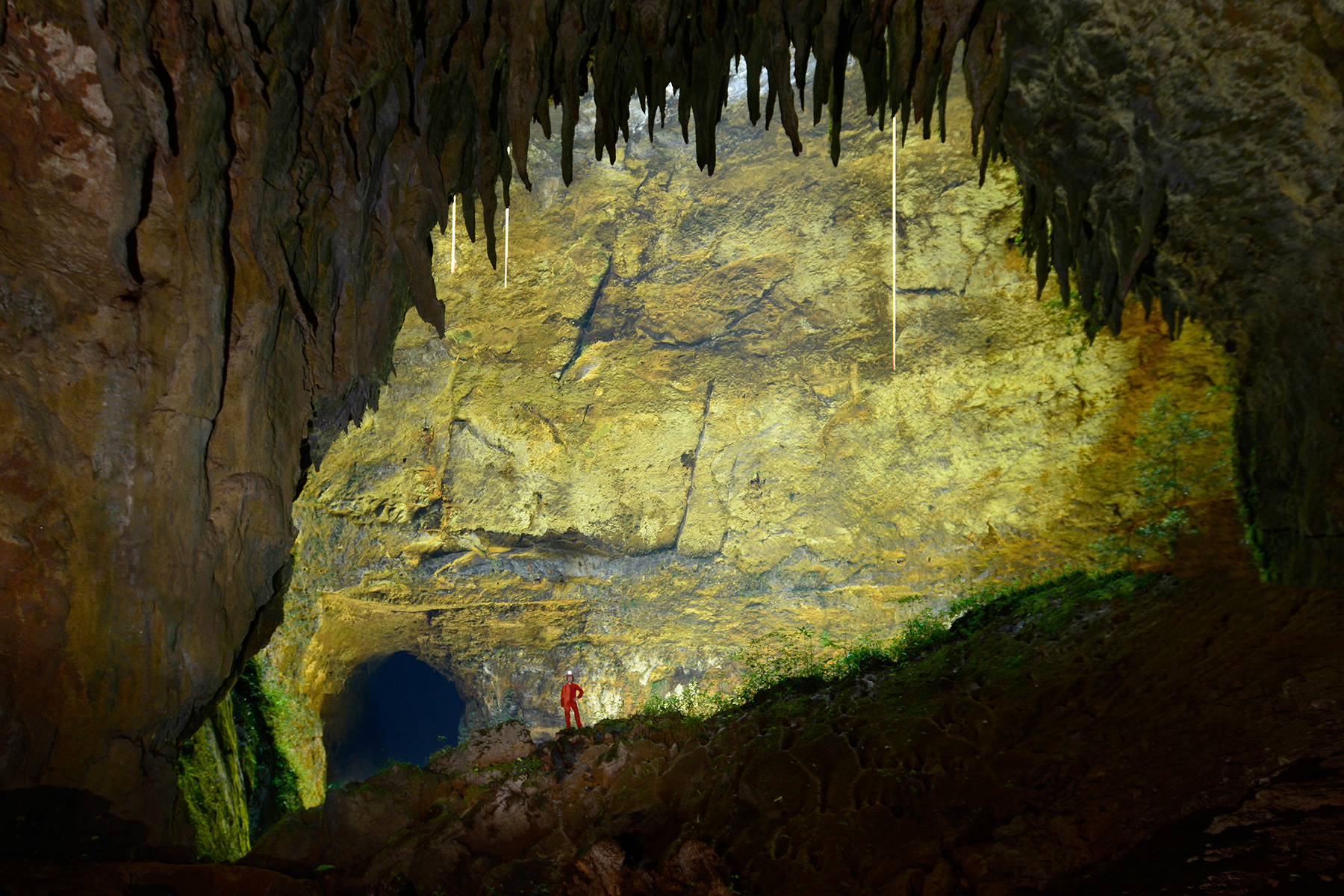 Cueva Clara (Systema Camuy, Porto Rico) - galerie débouchant sur un puits éclairé par la lumière du jour