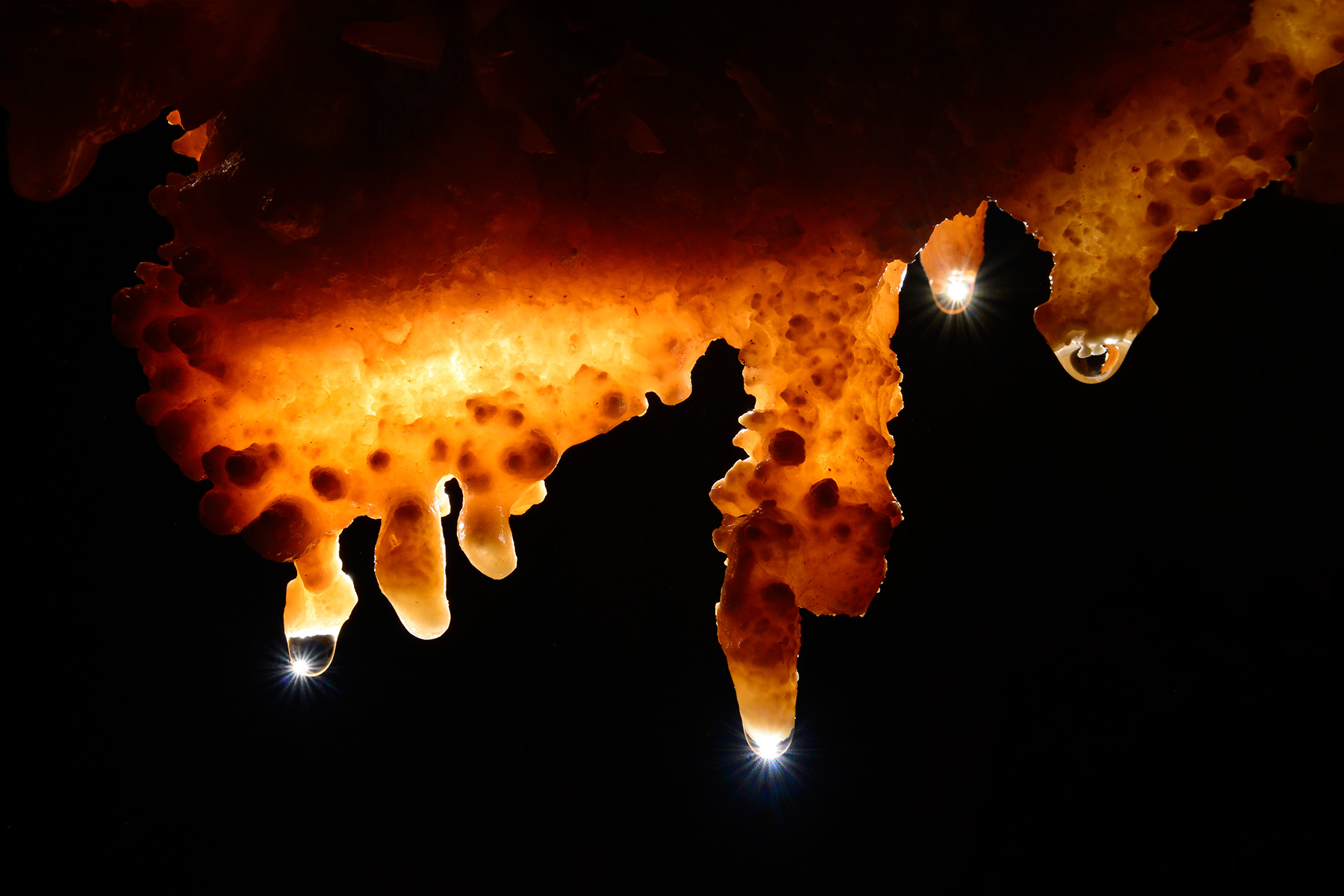 Petites stalactites avec gouttes d'eau au bout