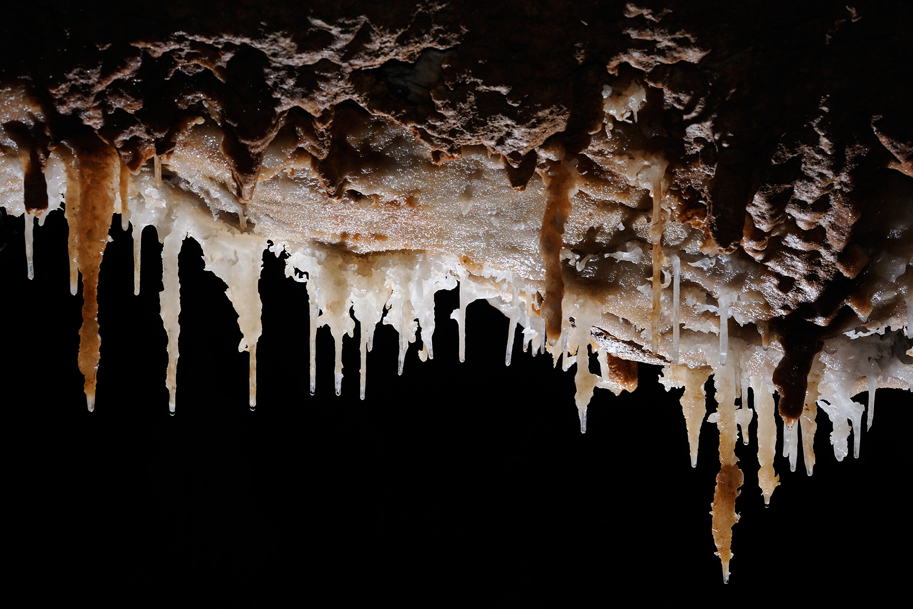 Grotte des Ecossaises (Hérault) - Alignement de stalactites au plafond (en contre jour)