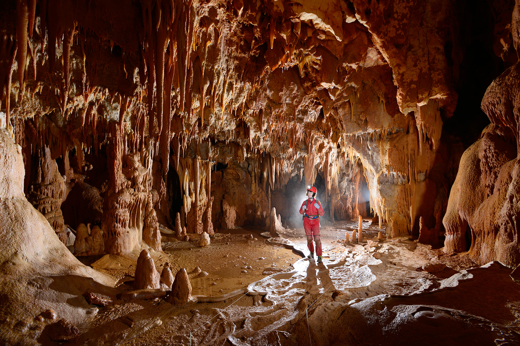Grotte de la Toussaint (Gard) : spéléos sur passage balisé dans une salle concrétionnée 