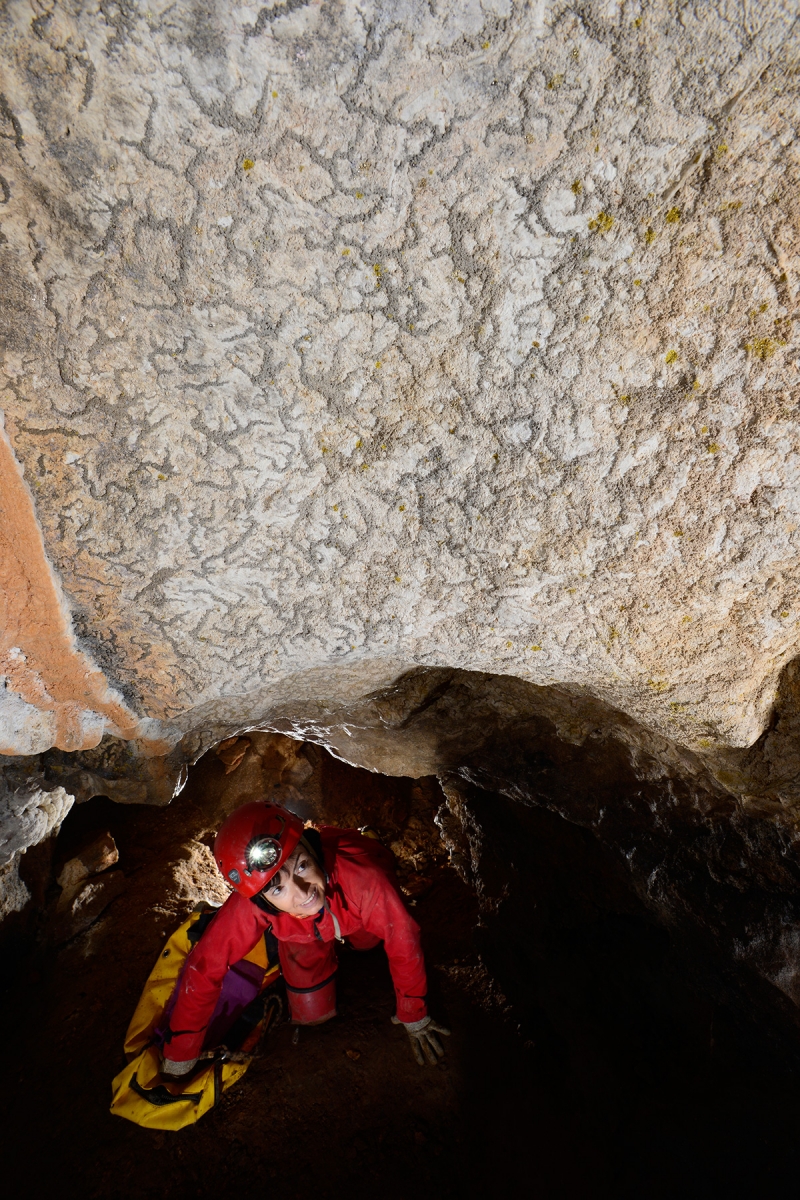 Atak Cave (Pinarbasi - Turquie) : vermiculations sur au plafond d'une galerie