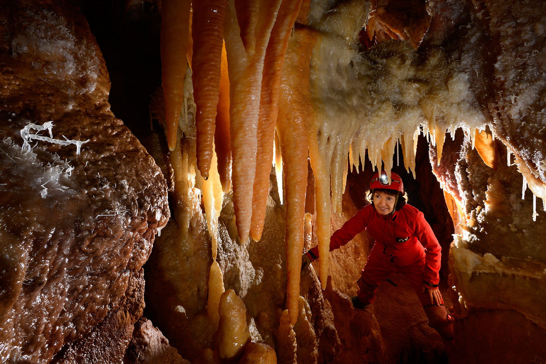Grotte de la Toussaint (Gard) - Petite excentrique dans galerie concrétionnée