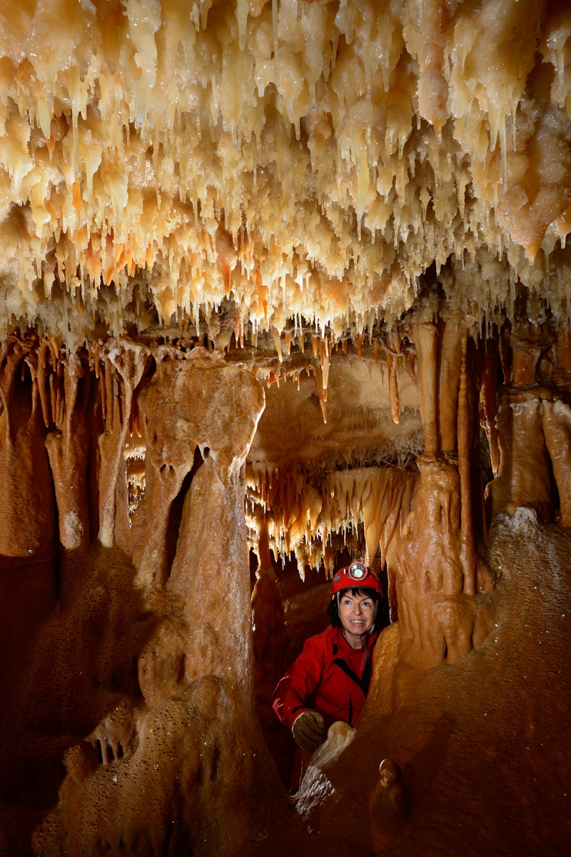 Grotte de la Toussaint (Gard) - Plafond avec excentriques dans niche concrétionnée