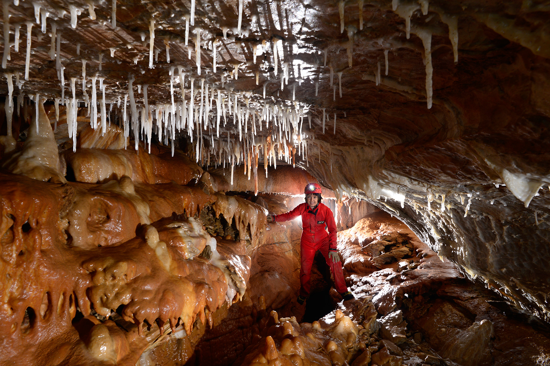 Grotte de l'Ascension (Hérault) : spéléo dans galerie concrétionnée (fistuleuses et calcite sur les parois)