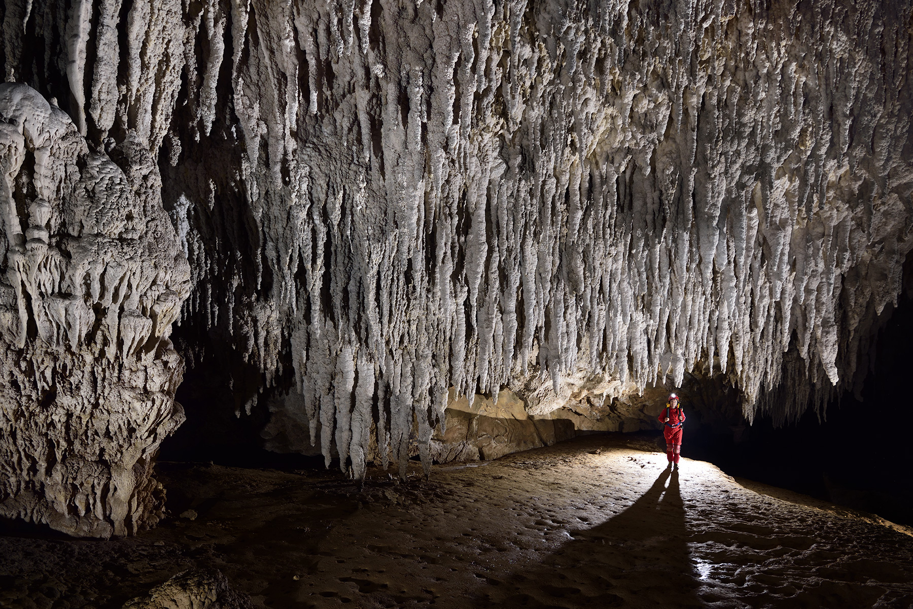 Gruta Temimina (Iporanga, Sao Paulo) - Paroi couverte de stalactites blanches massives.
