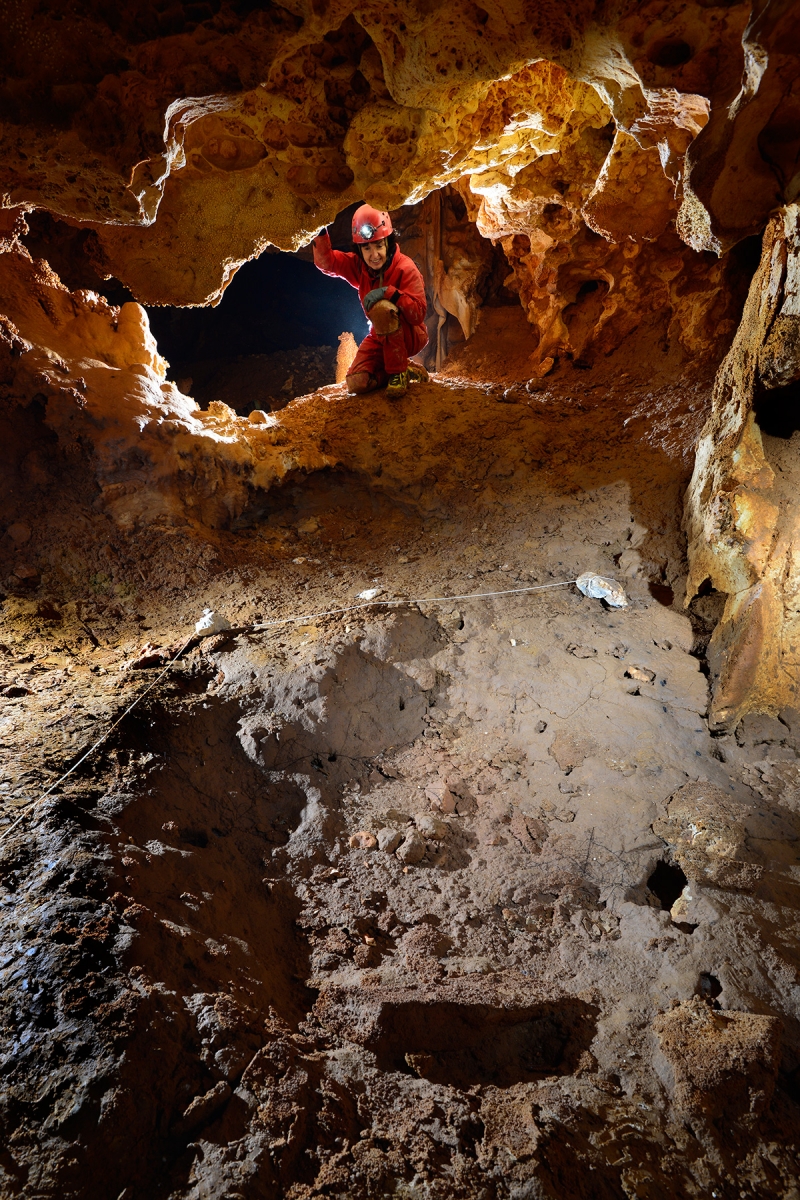 Grotte Slin (Gard) - Bauge d'ours dans l'argile