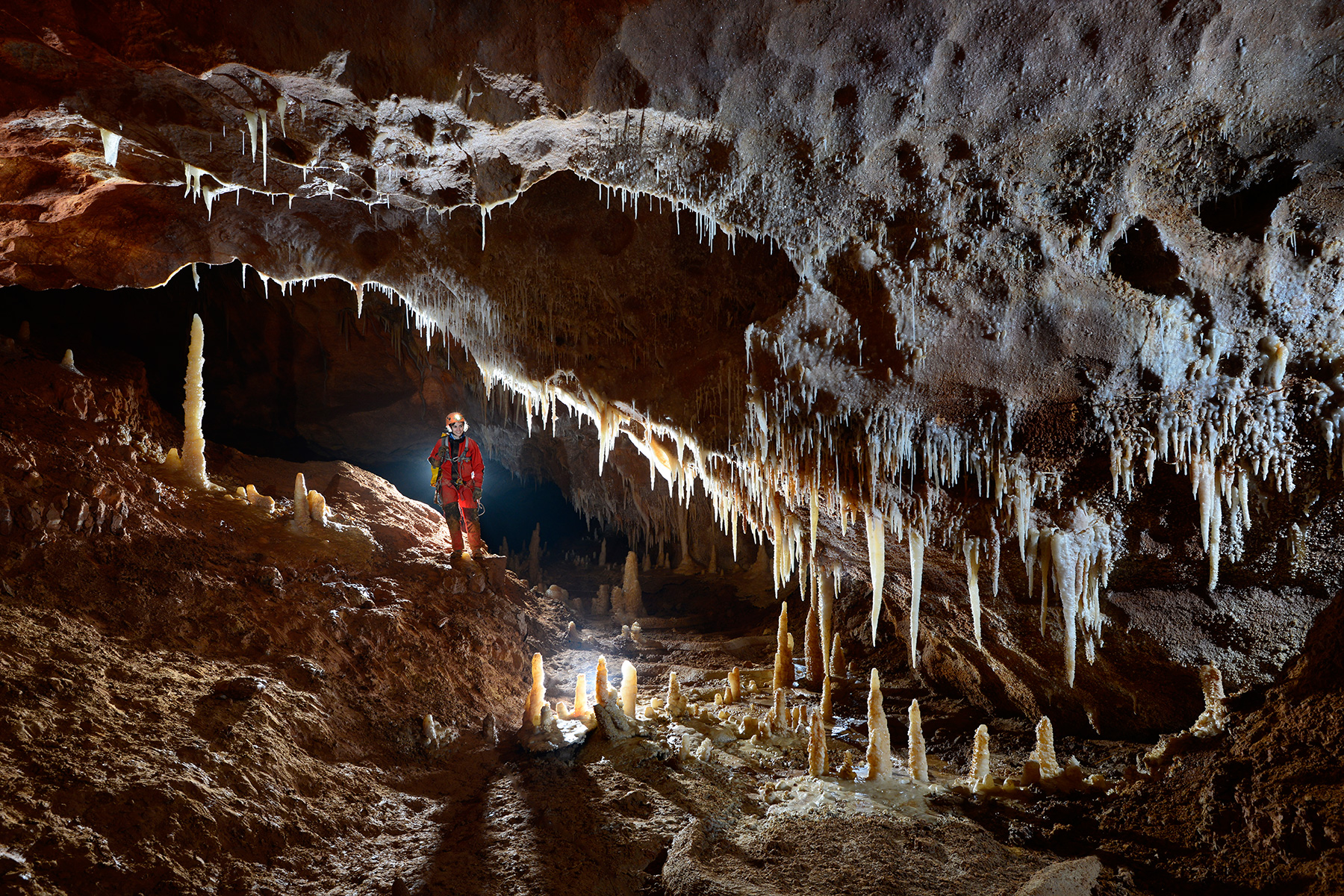 Grotte de Saint-Marcel d'Ardèche (réseau 4) - Ensemble de stalagmites et stalactites translucides au milieu de la galerie