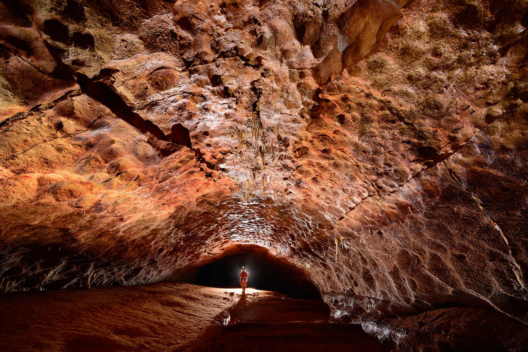 Grotte de Saint-Marcel d'Ardèche (réseau 4) - Galerie rouge avec petites fistuleuses au plafond