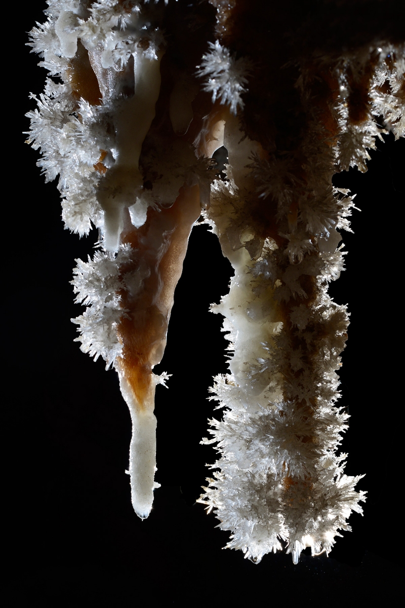 Grotte de Clamouse - Deux stalactites couvertes de cristaux d'aragonite