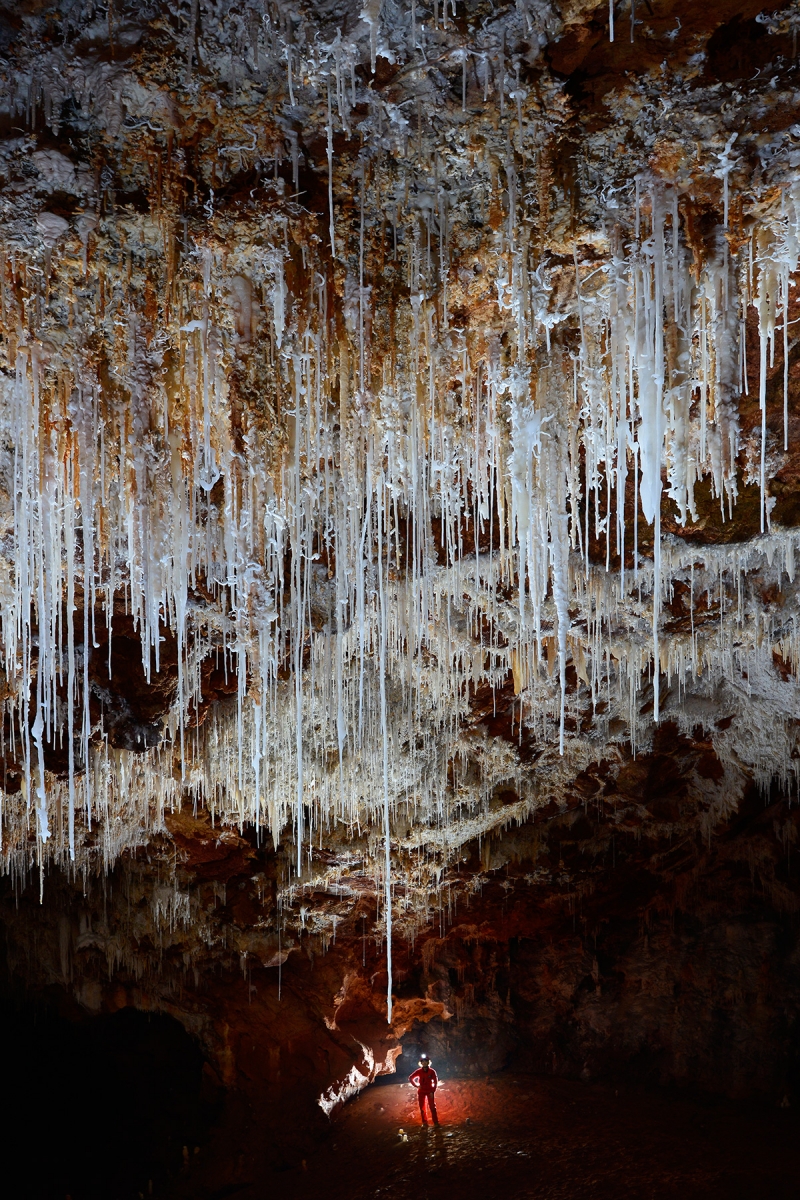 Grotte de Clamouse - Ensemble de grandes fistuleuses au plafond d'une galerie avec spéléo en arrière plan.