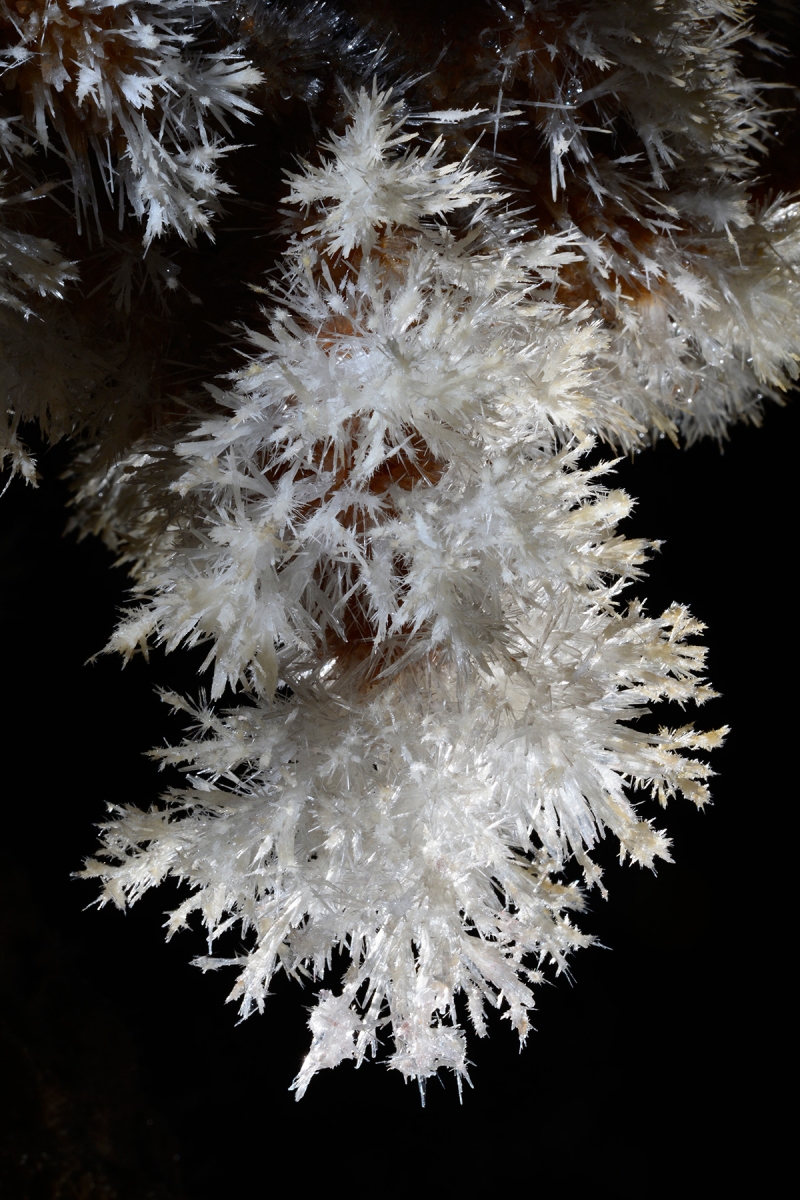 Grotte de Clamouse - Détail d'un bouquet d'aragonite sur une paroi