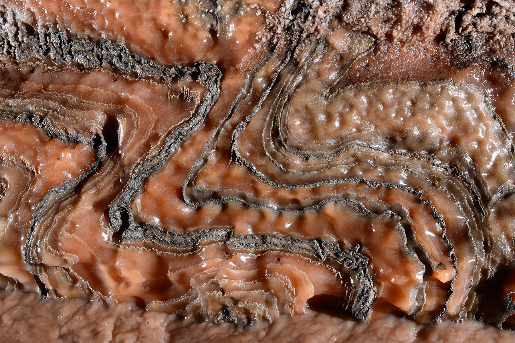 Cueva de sal (Espagne) : détail d'un micro pli dans les parois de sel d'une galerie