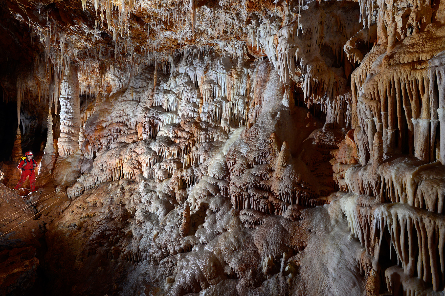 Grotte de Clamouse - Paroi d'une galerie couverte de coulées de calcite (spéléo en arrière plan).