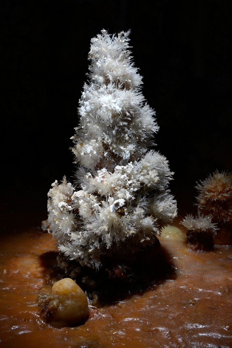 Grotte de Clamouse - Petite stalagmite recouverte de cristaux d'aragonite ("sapin de Noël")