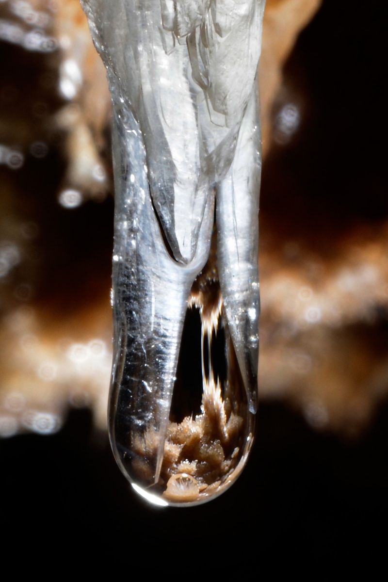 Grotte de Clamouse - Réflexion dans une goutte au bout d'une petite fistuleuse