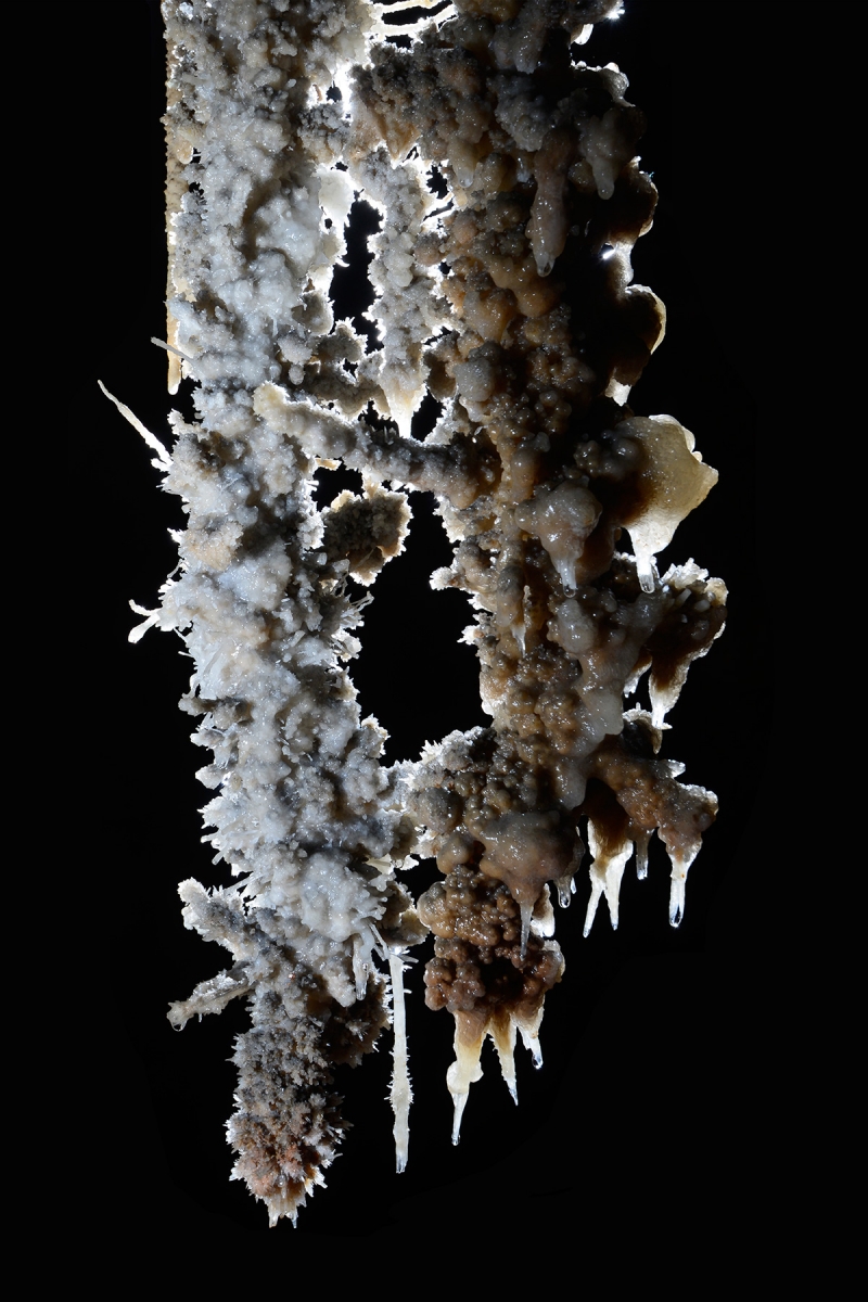 Grotte de Clamouse - Deux stalactites grises hérissées d'excentriques et de petites fistuleuses