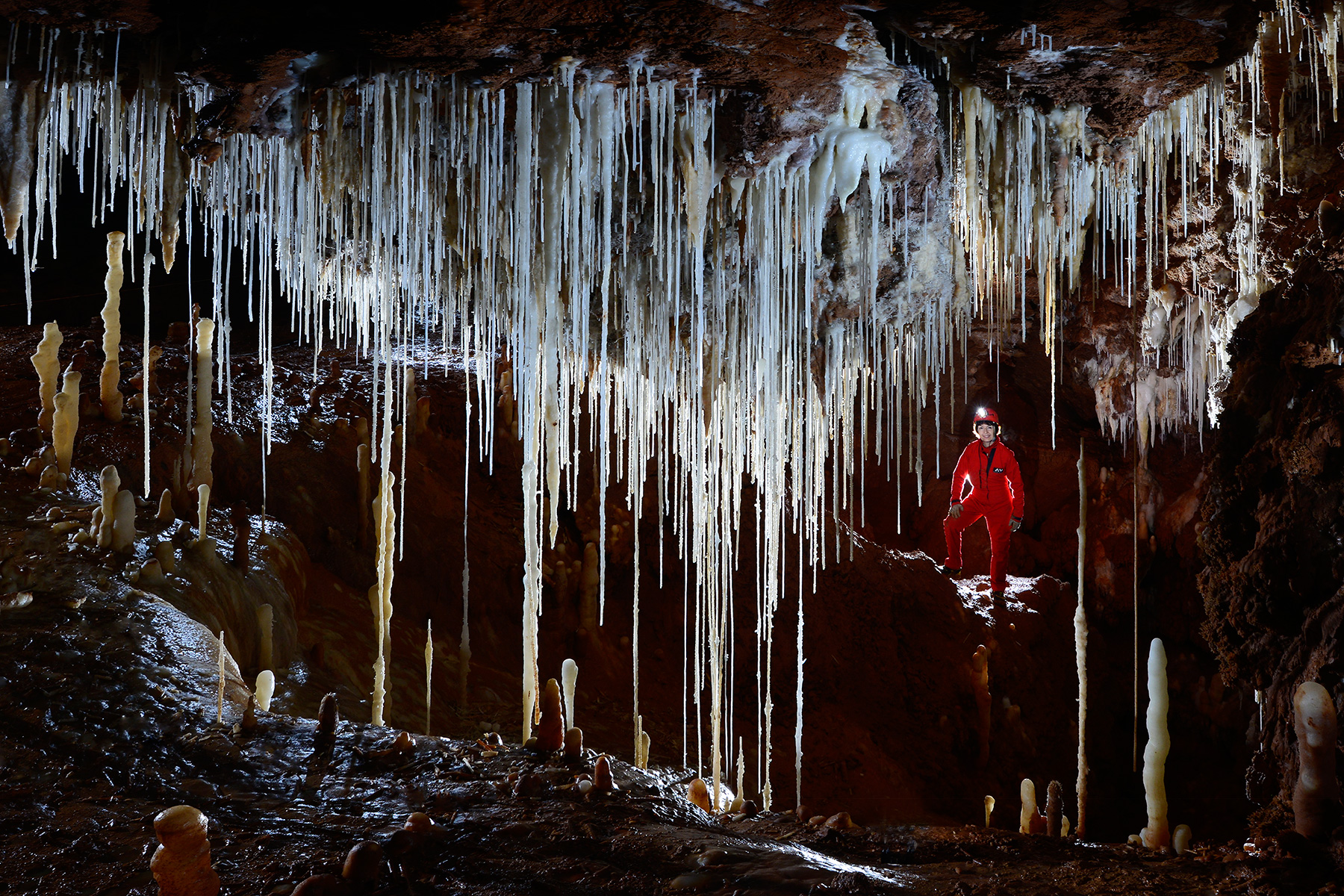 Grotte de Clamouse - Ensemble de fistuleuses translucides en contre-jour (avec spéléo en arrière plan).