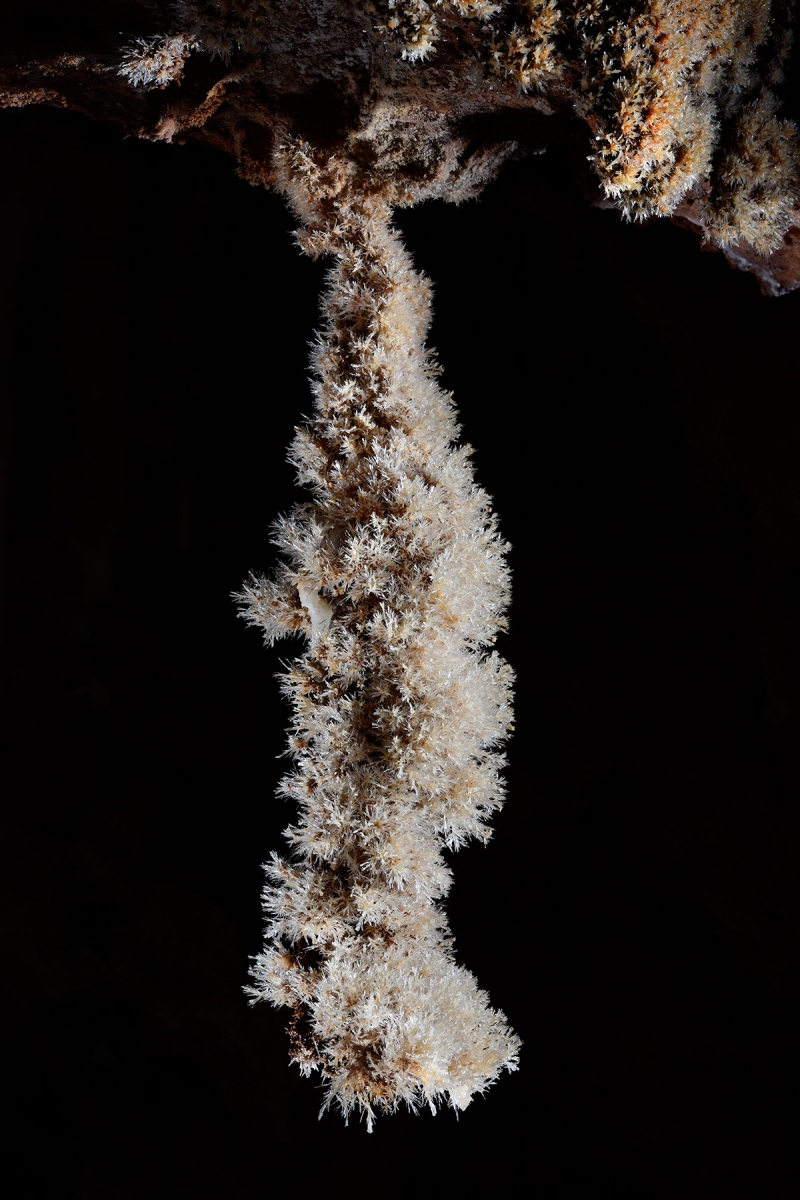 Grotte de Clamouse - Stalactite massive couverte de cristaux blancs