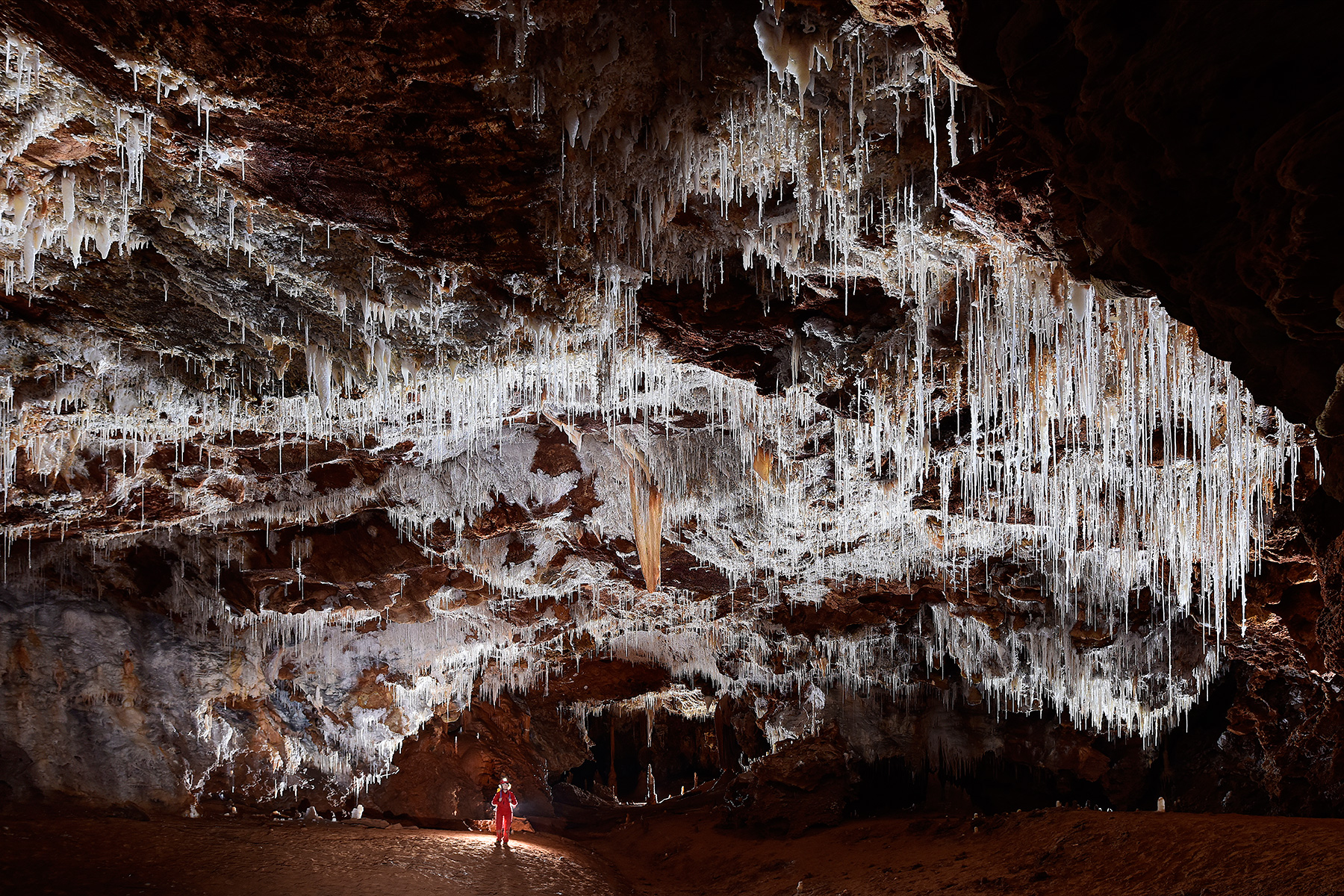 Grotte de Clamouse - Grande galerie avec remplissages argileux rouges et concrétions blanches au plafond (spéléo contre-jour)