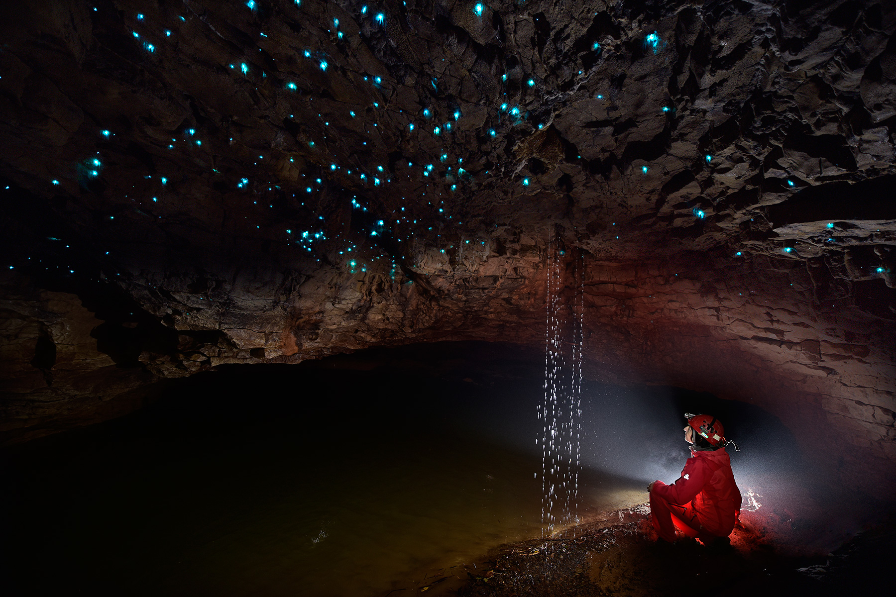 Spellbound cave (Mangawhitikau glowworm cave) - Plafond couvert de "Glowworms" (vers luisants) au dessus d'une rivière avec spéléo premier plan
