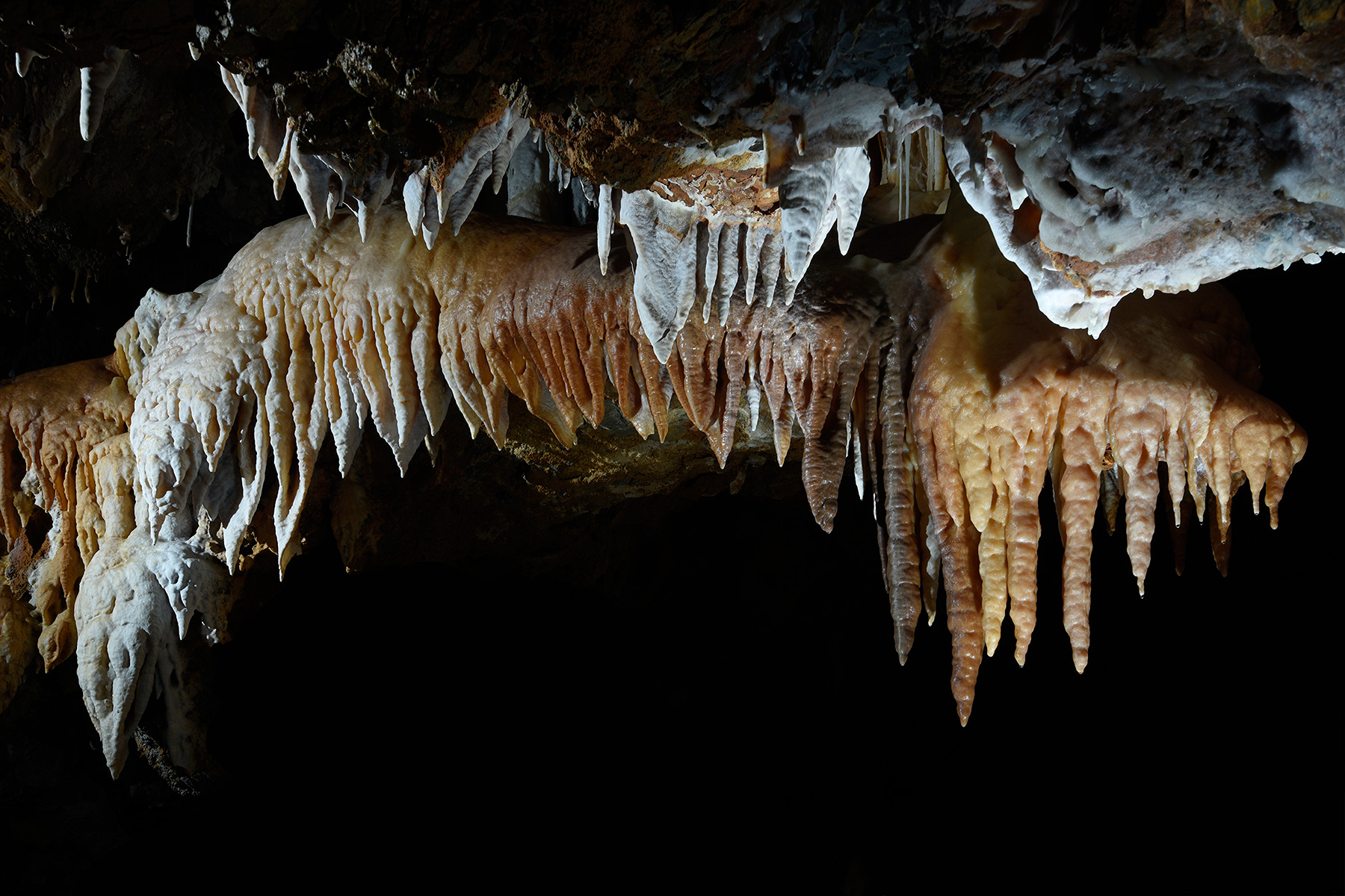 Grotte di Borgio Verezzi (Italie) - Rangée de stalactites massives de différentes couleurs