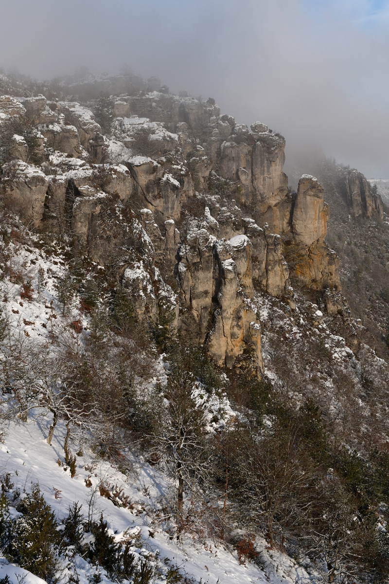 Causse Méjean (Lozère) - Rochers dolomitiques ruiniformes en haut des falaises surplombant Florac