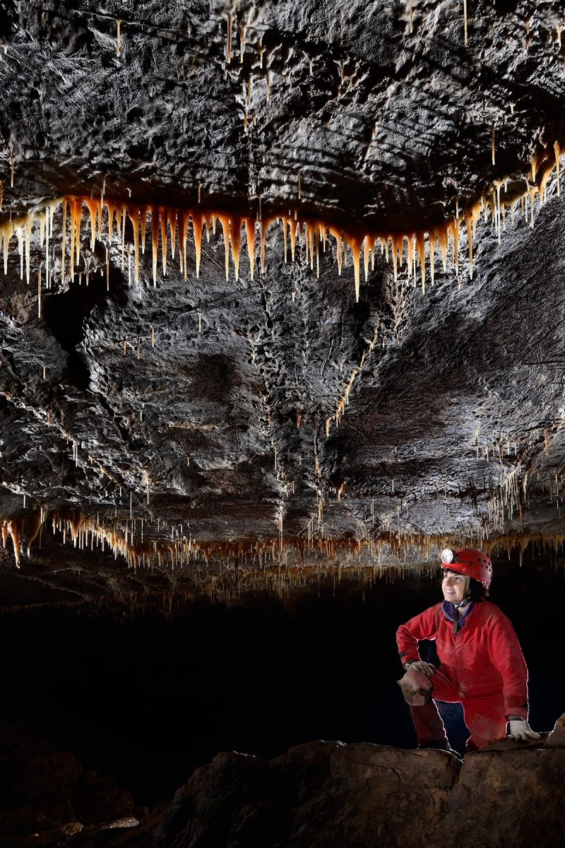 Grotte de Han-sur-Lesse, réseau sud (Belgique) -  Salle des Sinanthropes : alignement de fines stalactites alignées sur la fracturation.