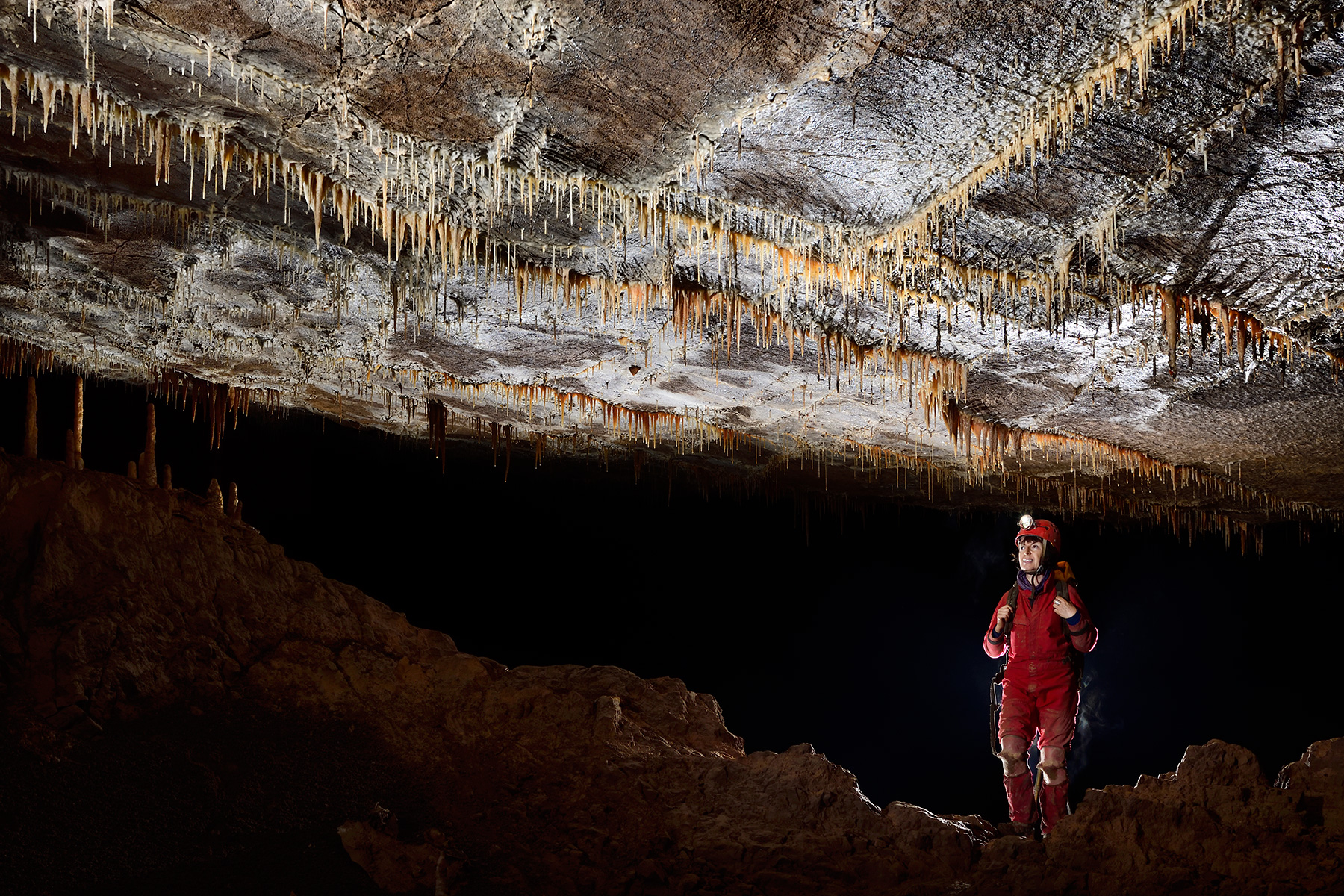 Grotte de Han-sur-Lesse, réseau sud (Belgique) -  Salle des Sinanthropes : plafond avec des fines stalactites alignées sur la fracturation.