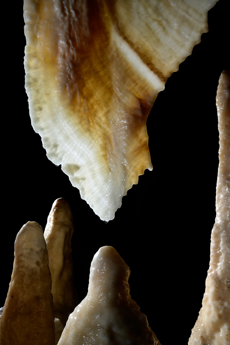Grotte du Père Noël (système de Han-sur-Lesse, Belgique) - Draperie et stalagmites.