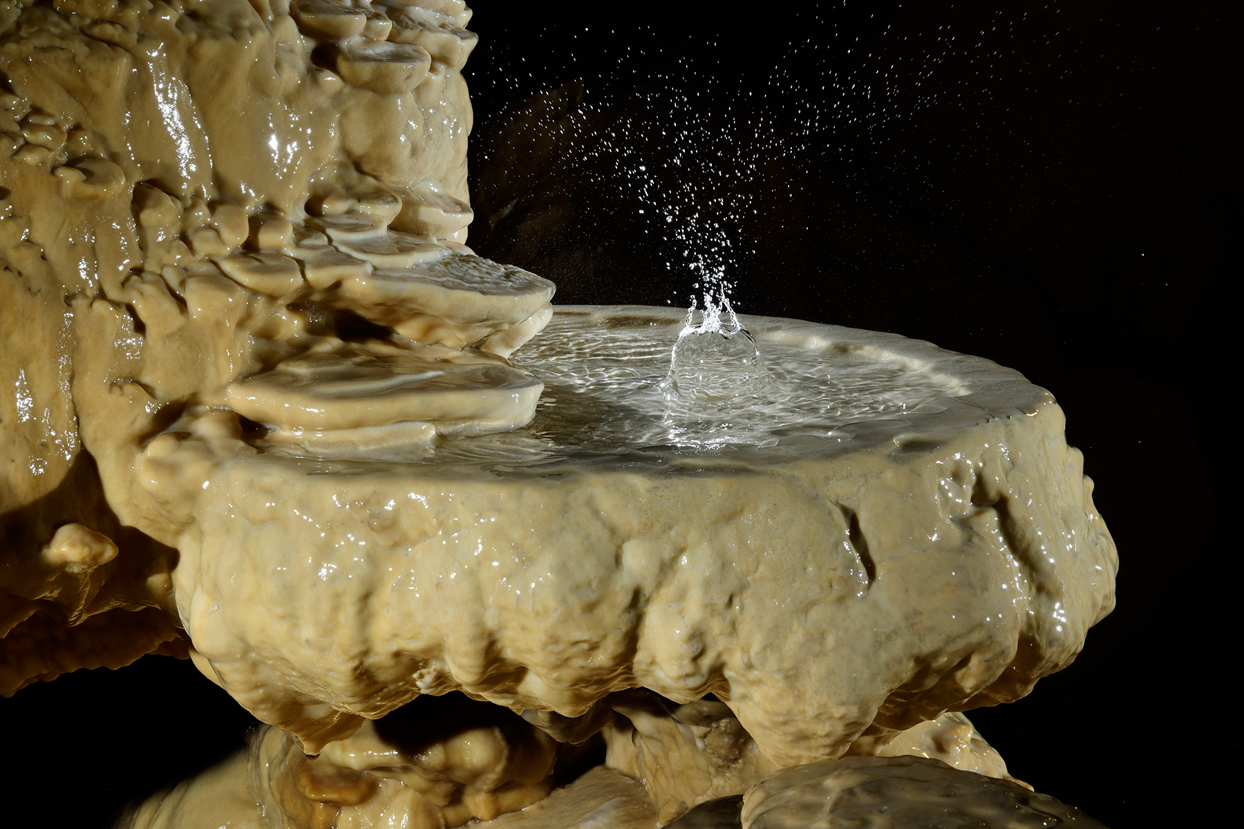 Grotte de Vallorbe (Suisse) - Goutte d'eau éclatant dans un bénitier de calcite (partie aménagée).