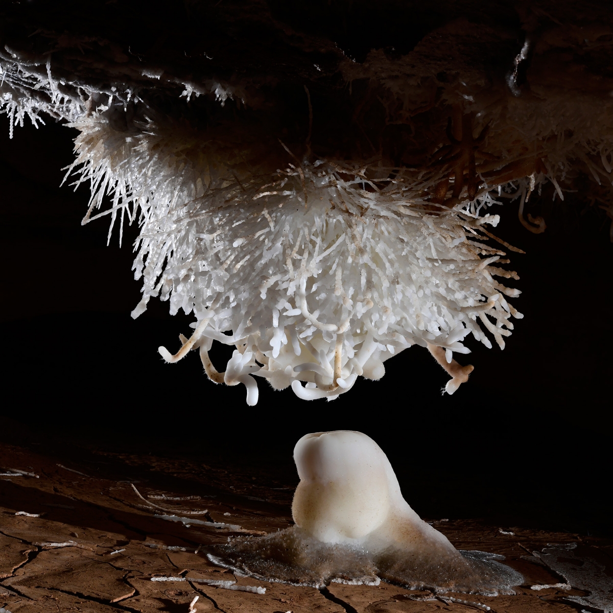 Breezeaway Cave (USA - Colorado) - Gros bouquet échevelé d'aragonite au plafond ("Tesla Coil") surmontant une stalagmite 