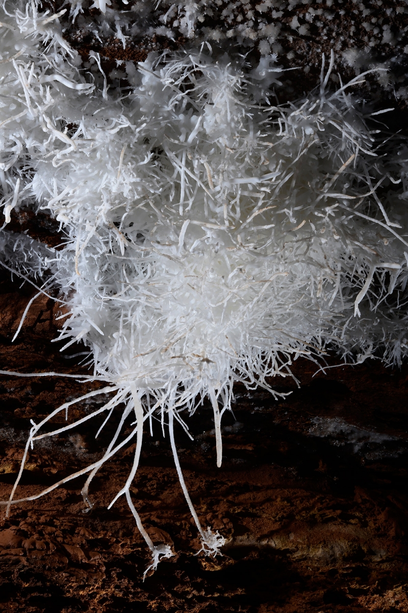 Breezeaway Cave (USA - Colorado) - Gros bouquet d'aragonite au plafond avec deux "pattes"