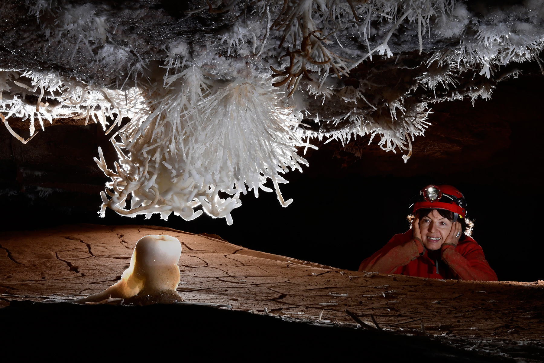 Breezeaway Cave (USA - Colorado) - Spéléo regardant un gros bouquet échevelé d'aragonite au plafond ("Tesla Coil") surmontant une stalagmite