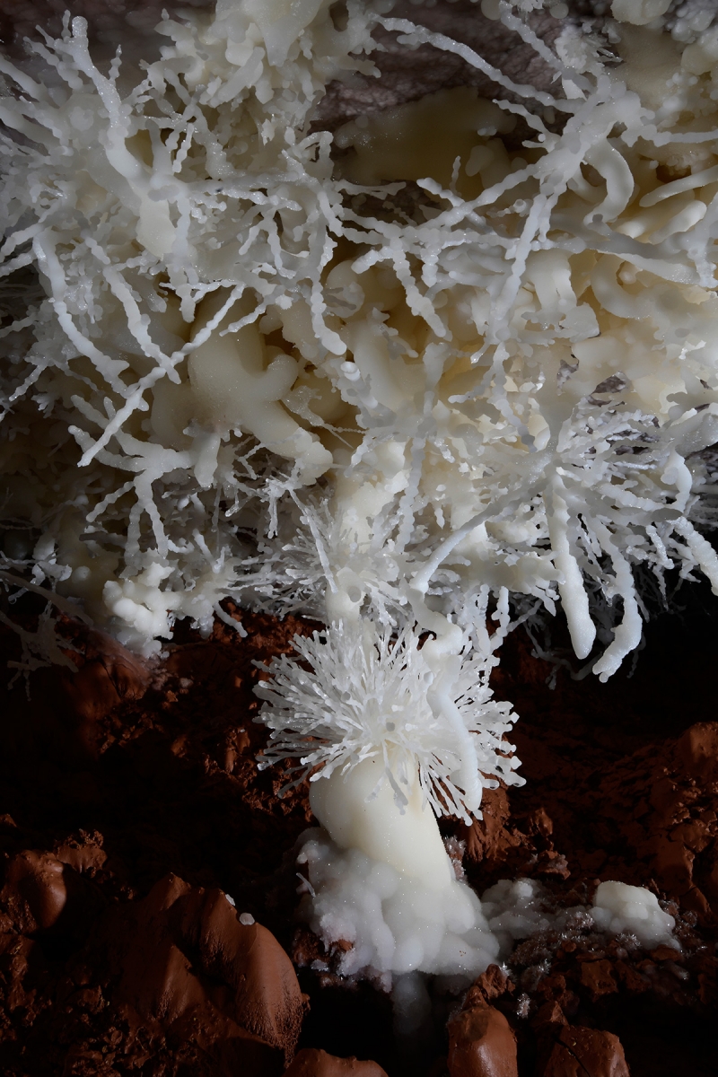 Cave of the Winds (USA - Colorado) - Gros bouquet d'aragonite avec "l'anémone" au pied
