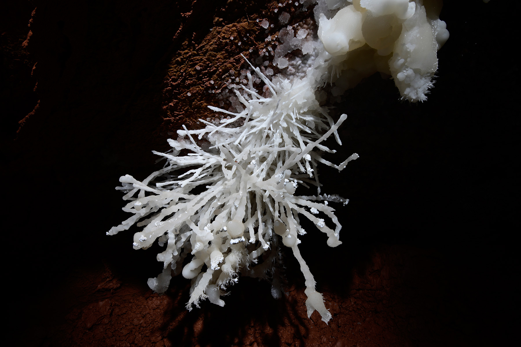 Cave of the Winds (USA - Colorado) - Détail d'un bouquet d'aragonite coralloïde avec fines aiguilles