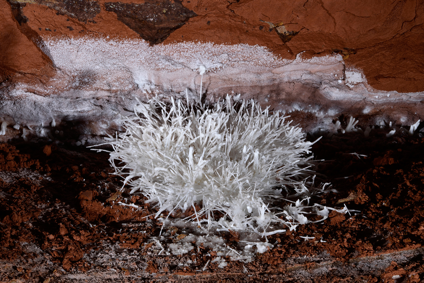 Cave of the Winds (USA - Colorado) - Bouquet de fines concrétions d'aragonite blanche sur un sol rouge