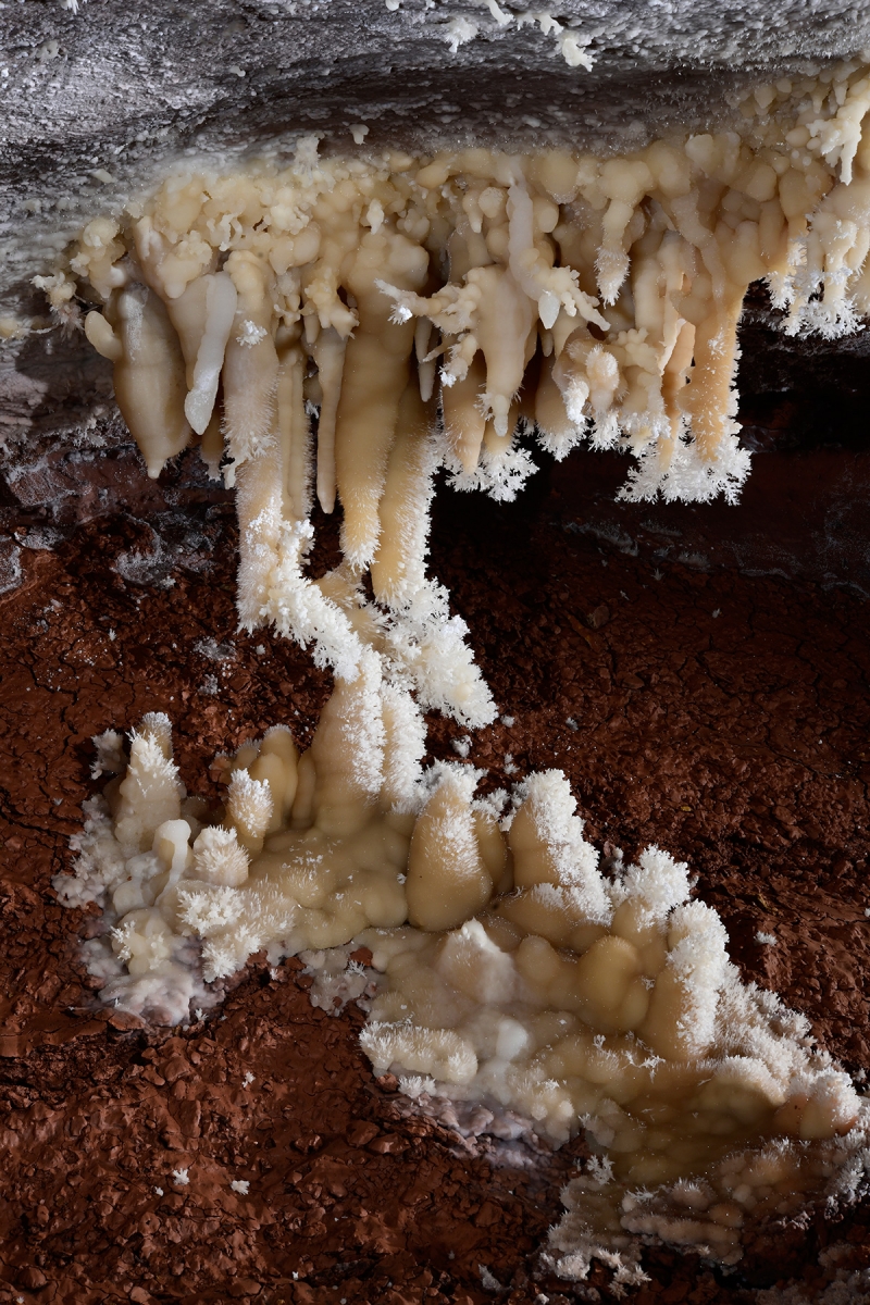 Cave of the Winds (USA - Colorado) - Massif de concrétions avec des excentriques d'aragonite au plafond et au sol