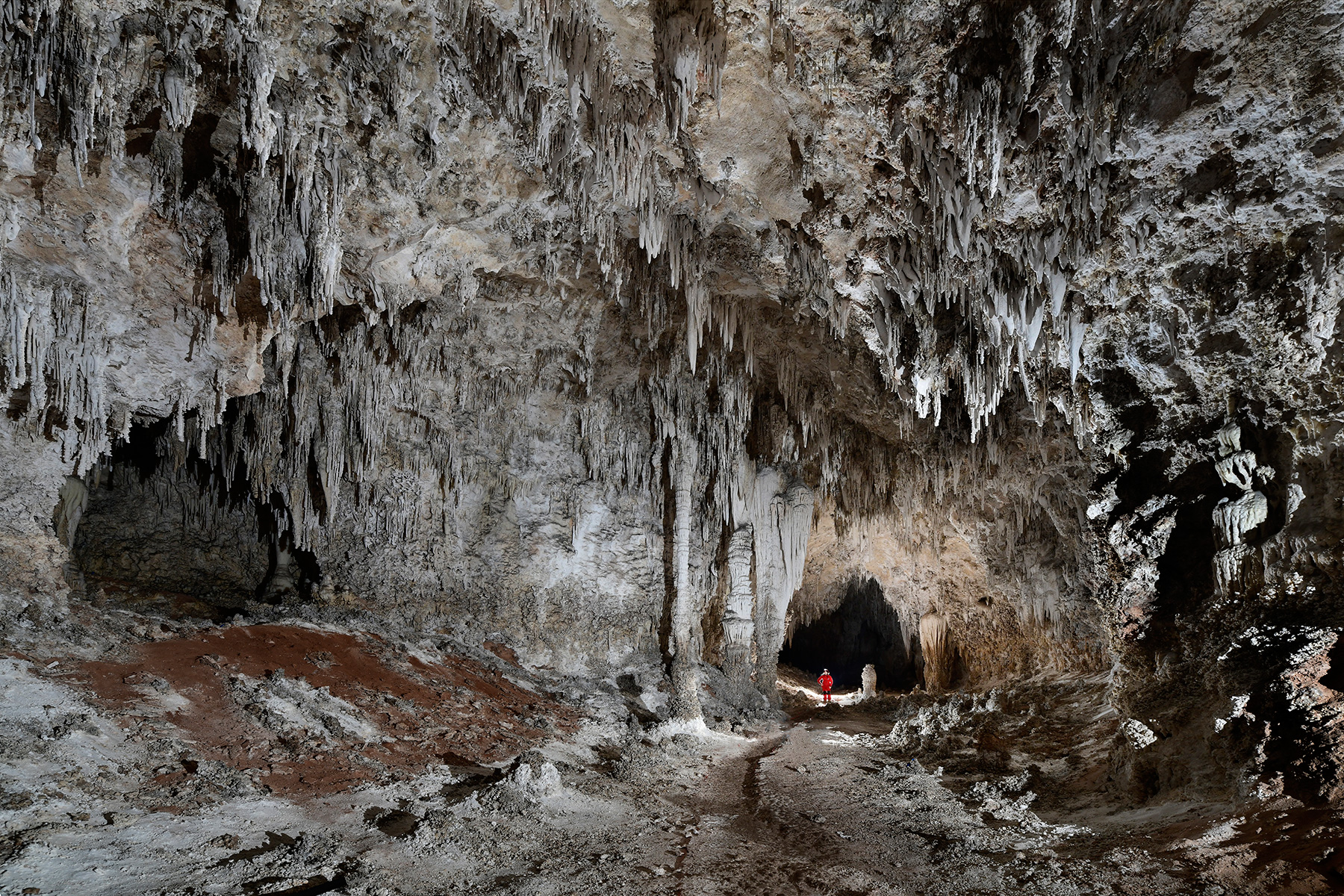 Carlsbad Cavern Lower passage (USA - Nouveau Mexique) - Grande galerie avec concrétions grises sèches (personnage de face dans le fond).  