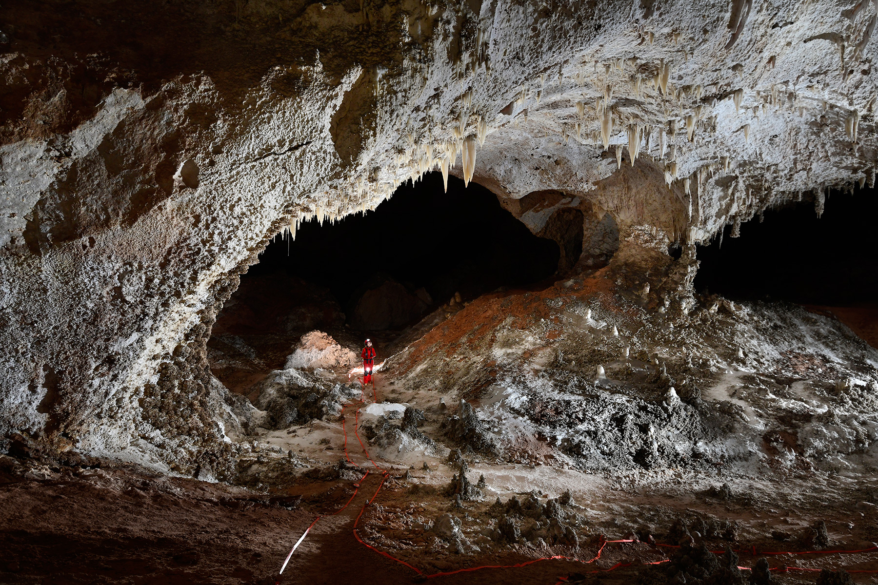 Carlsbad Cavern Lower passage (USA - Nouveau Mexique) - Grande galerie concrétionnée avec  cheminement balisé 